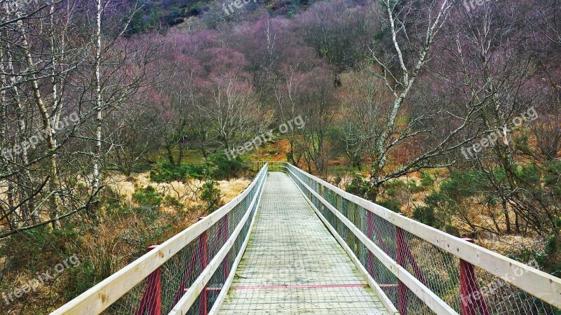 Ireland Dublin Wicklow Europe Path