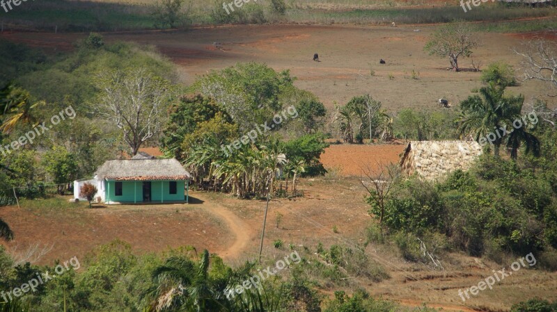 House Landscape Cuba Hiking Tobacco