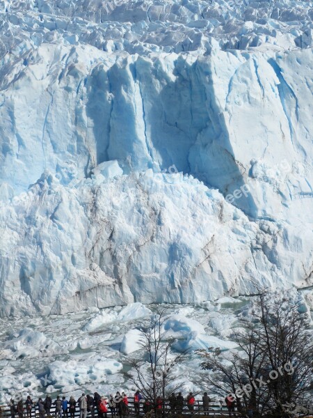 Calafate Ice Patagonia Glacier Argentina