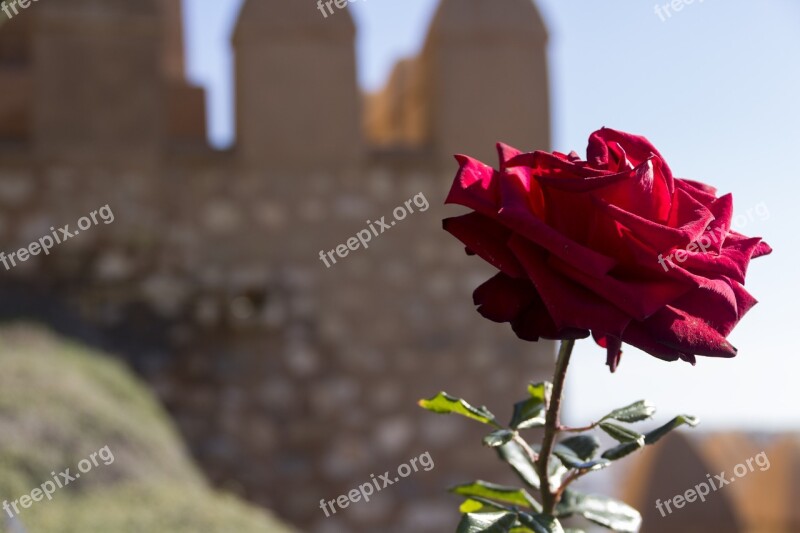 The Alcazaba Almeria Free Photos