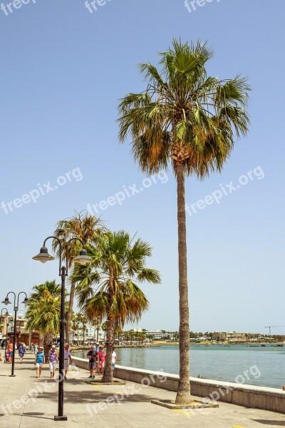 Promenade Harbor Palm Trees Tourism Paphos