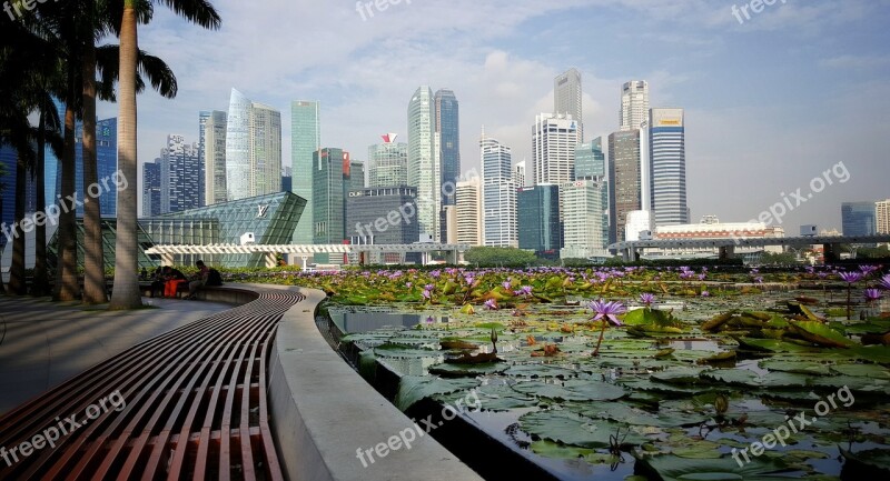 Singapore City Buildings Skyscraper Lotus