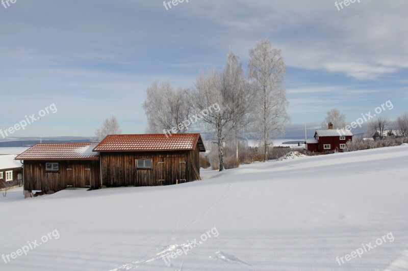 All White Cover Snow Winter Cold