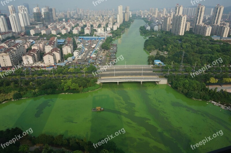 Cyanobacteria Salvage Bridge Free Photos