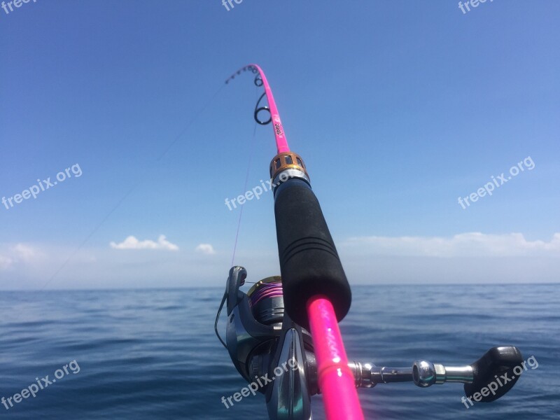 Sea Sea Fishing Fish Fishing Free Photos