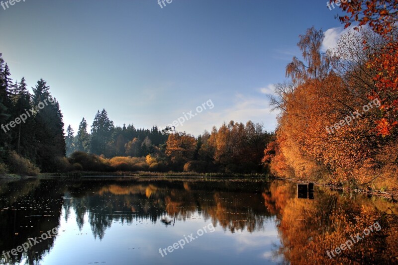 Lake Waldsee Water Trees Forest