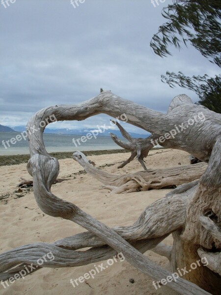 Tropical Island Australia Paradise Beach Free Photos