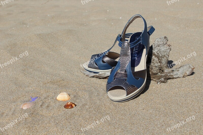 Shoes Ladies Shoes Beach Shoes Shoes And Shells Free Photos