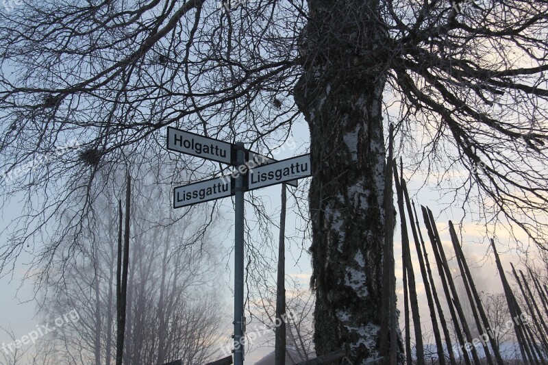 Misty Morning All White Cover Snow