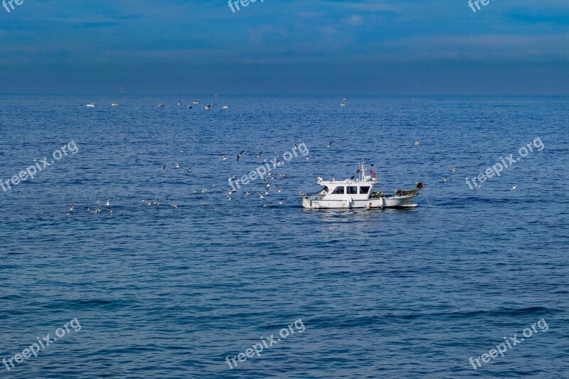 Boat Fisher Boat Fishing Fisherman Sea