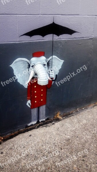 Elephant Street Art Unexpected Free Photos