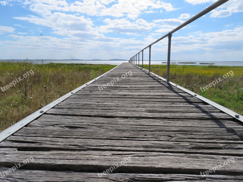 Perspective Wooden Green Landscape Distance