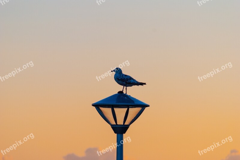 Cloud Dusk Harbour Light Orange