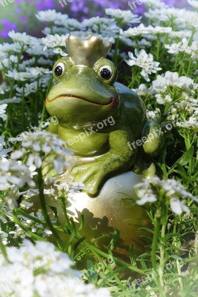 Frog Prince Wedding Flowers Decoration Free Photos