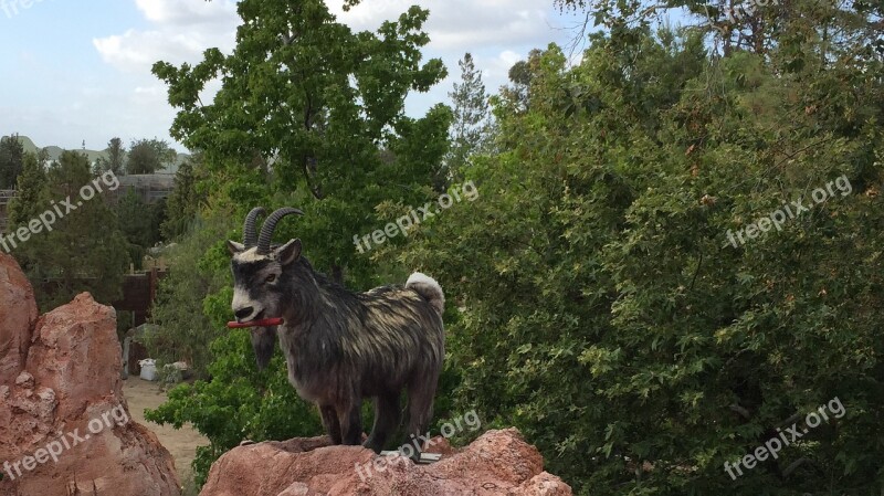 Disneyland Thunder Mountain Railroad Frontierland Goat Dynamite