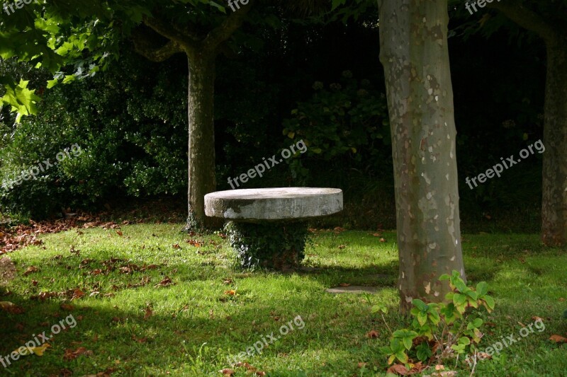 Stone Table Grass Nature Green Spring