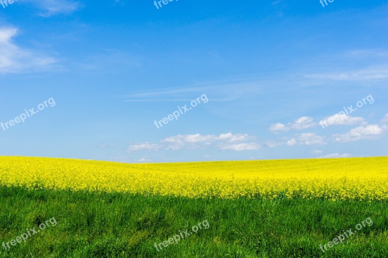 Colza The Landscape The Sky The Clouds Nature