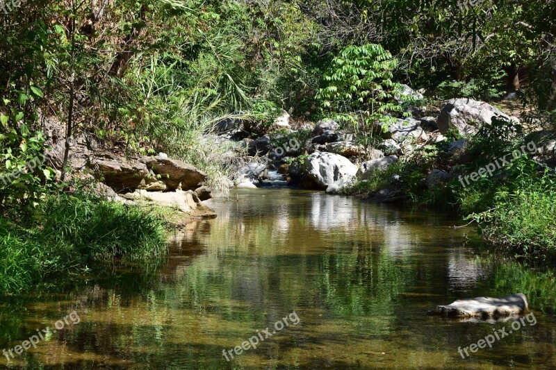 River Brook Creek Free Photos