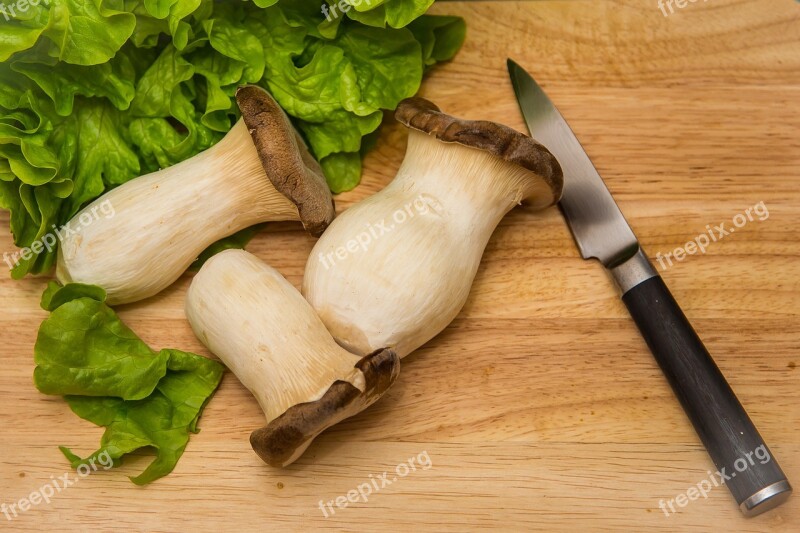 Mushroom Oyster Pleurotus Eryngii Delicacy Mushrooms