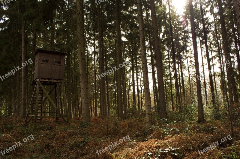 Forest Hunter Hut Forests Hunting