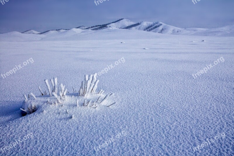 Snowfield Frozen Winter Bogart Village December