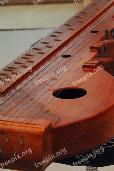 Zither Musical Instrument String Instruments Music Musician