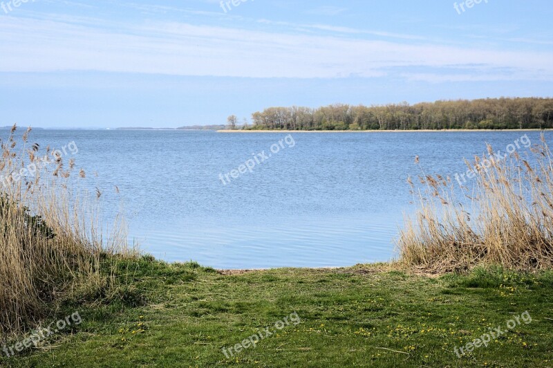 Haff Baltic Sea Rerik View Sea