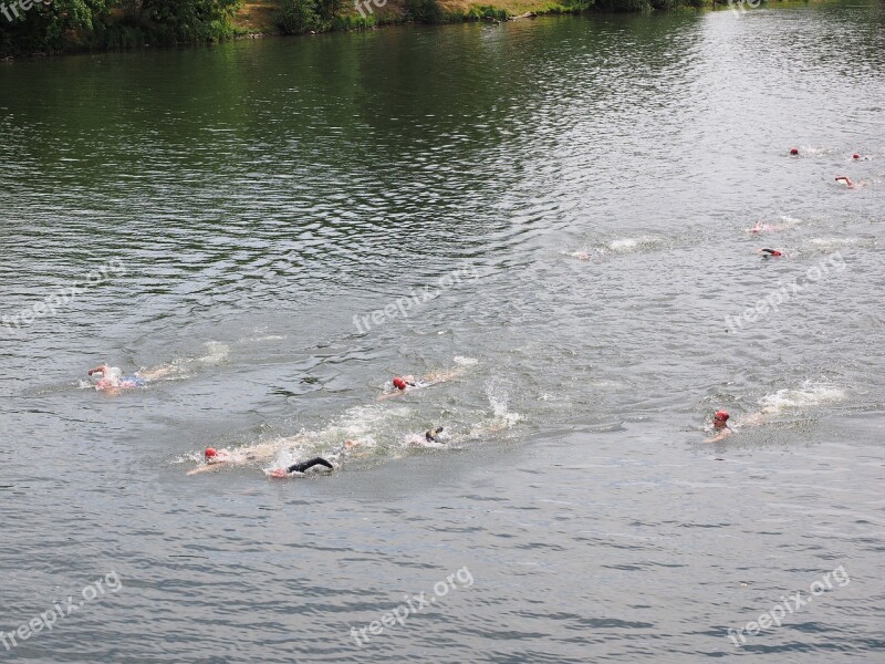 Swim Competition Triathlon Water Sports Swimmer