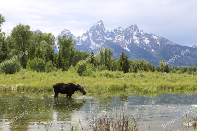 Grand Teton National Park Moose Mountain Lake