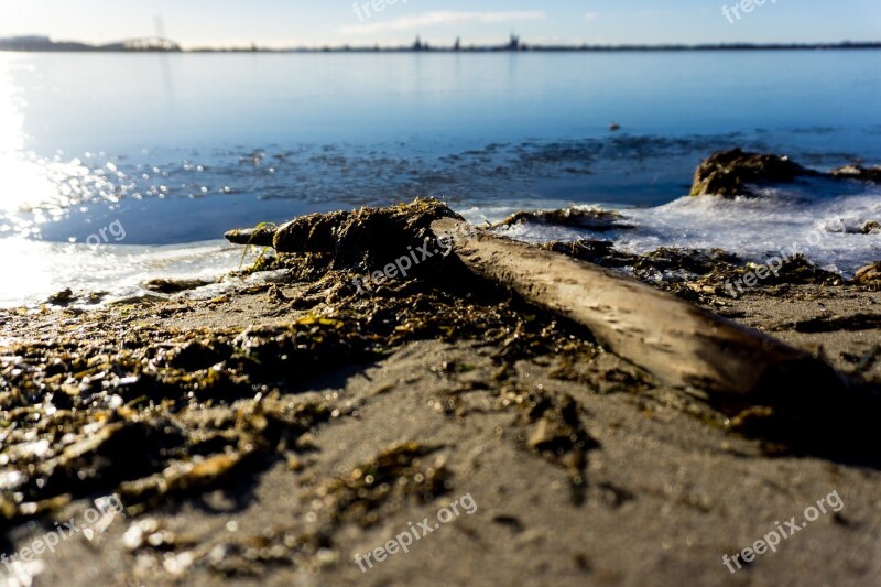 Beach Flotsam Nice Weather Sun Sea