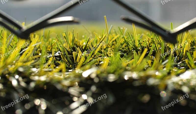 Grass Field Football Detail Macro