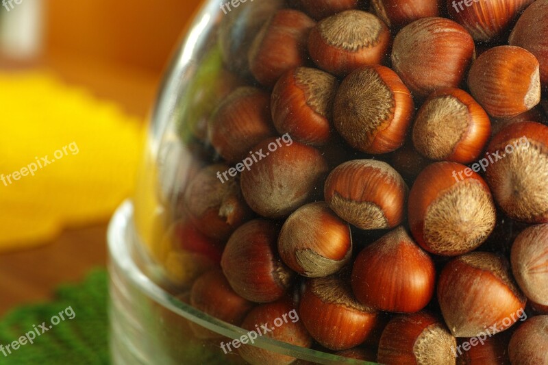 Hazelnut Dried Fruits And Nuts Macro Food Healthy Eating