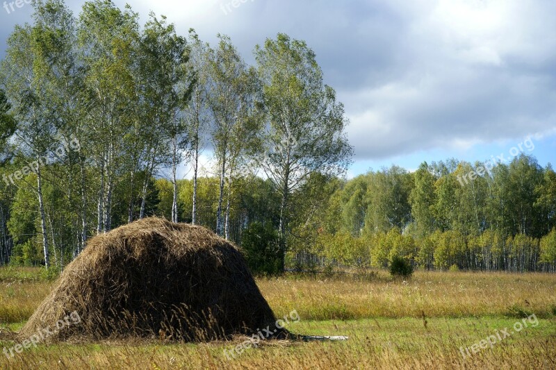 Landscape Summer Day Field Haymaking