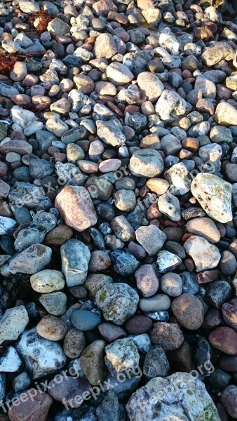 Stones Baltic Sea Beach Danish Baltic Sea Coast Free Photos