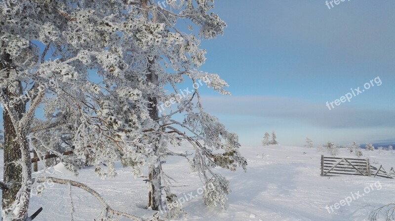 Winter Levi Lapland Snow Cold