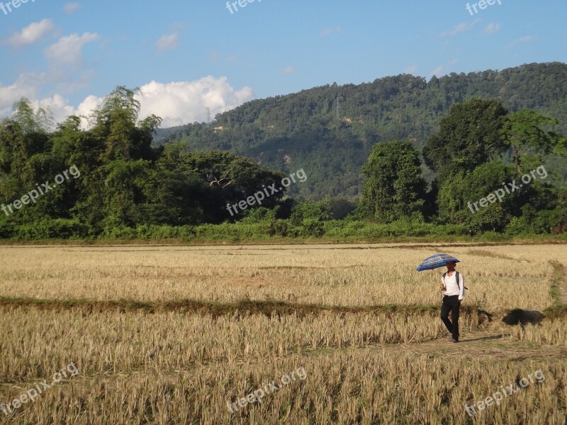 Laos Field Walk Sun Schirn Commute