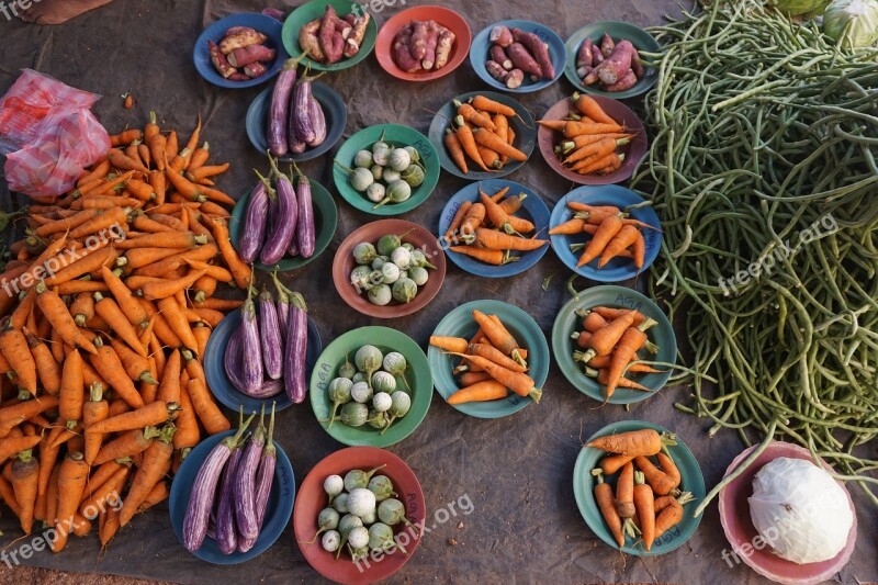 Vegetables Carrots Aubergine Market Harvest