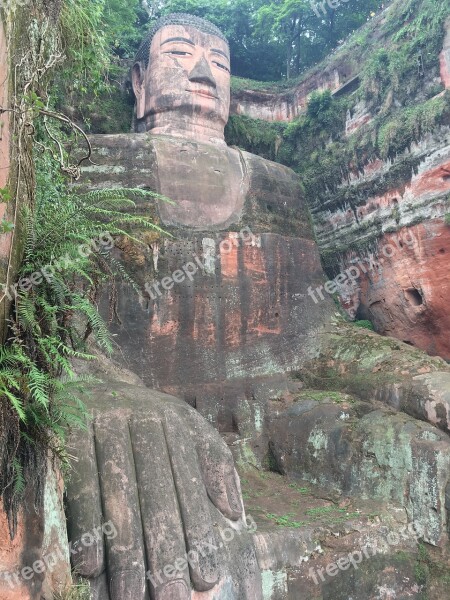 Giant Buddha Buddha Subtropics Sichuan China