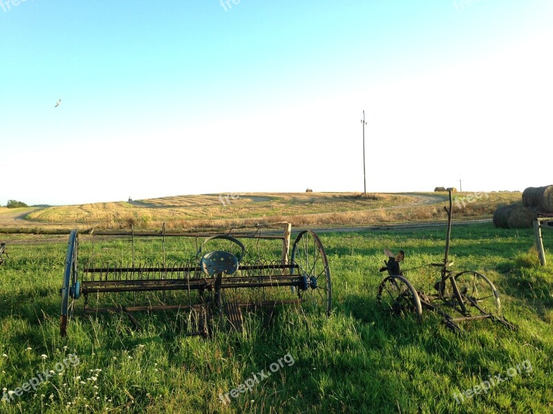 Summer Field Grass Village Farmer