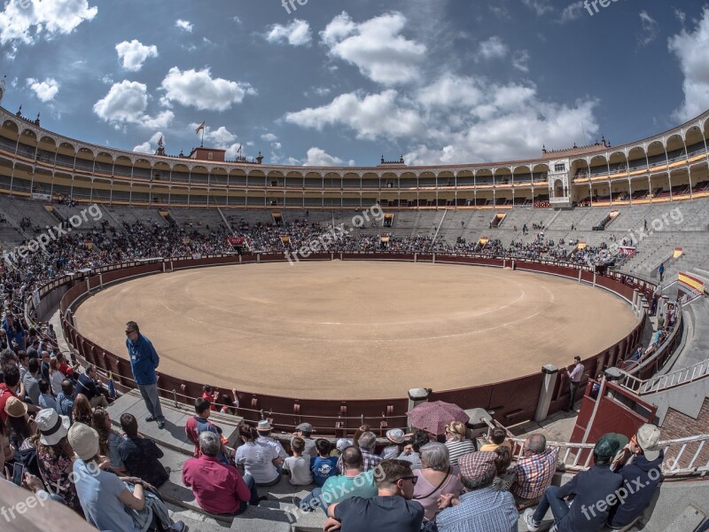 Bullring Toro Party Sales Madrid