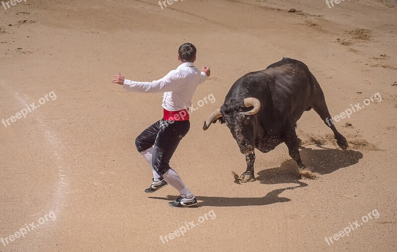 Trimmers Torero Bullfighters Sales Madrid