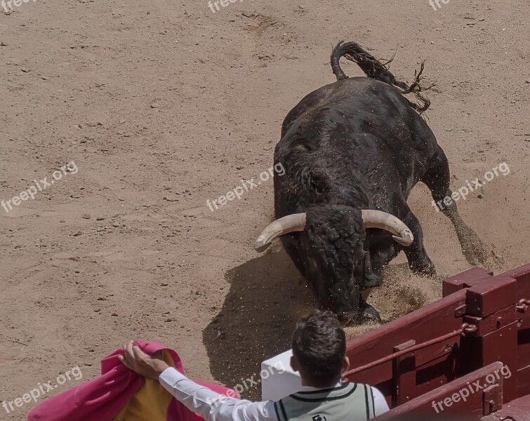 Trimmers Torero Bullfighters Sales Madrid