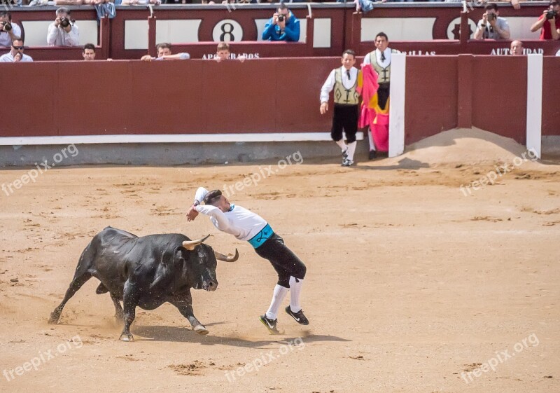 Trimmers Torero Bullfighters Sales Madrid