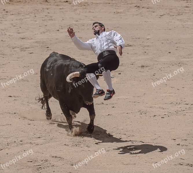 Trimmers Torero Bullfighters Sales Madrid