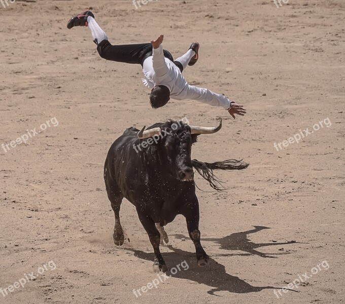 Trimmers Torero Bullfighters Sales Madrid