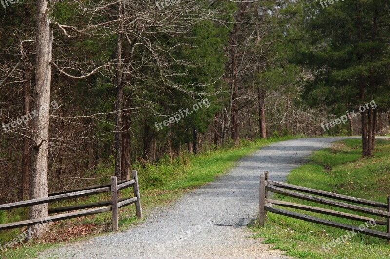 Park North Carolina Nature Travel