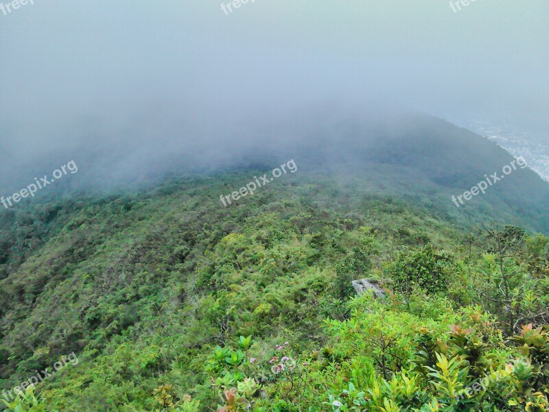 Vegetation Mist Caracas Avila Venezuela