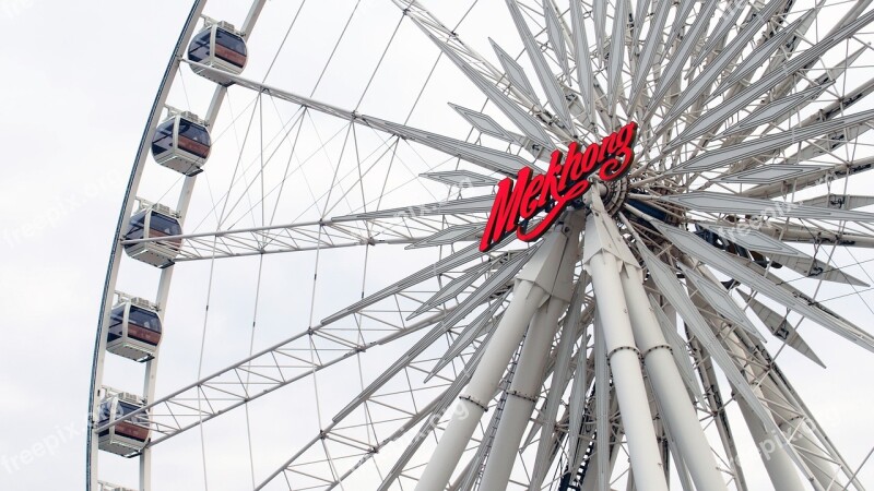 Amusement Park Excited Ferris Wheel Tourism The Player