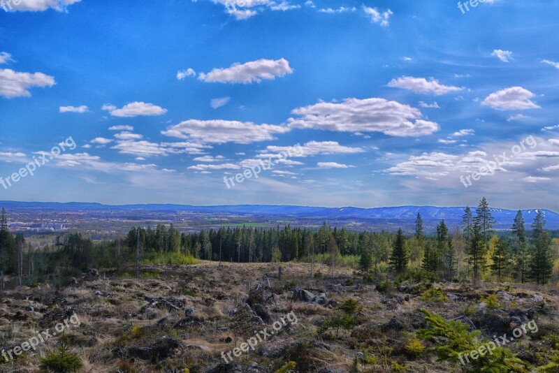 Nature Firs Mountain The Valleys Forest