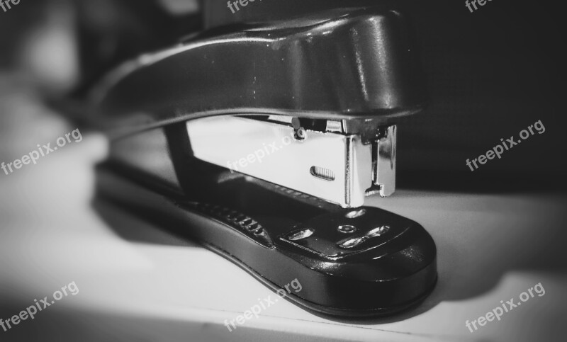 Stapler Tacker Office Black Black And White